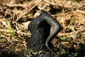 Enlarge photo 346