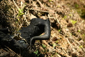 Enlarge photo 348