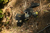 Enlarge photo 352