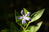 Enlarge photo 358
