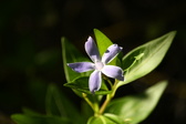 Enlarge photo 359