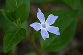 Enlarge photo 370