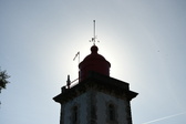 Enlarge photo 374
