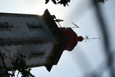 Enlarge photo 392