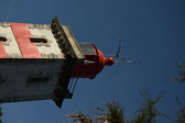 Enlarge photo 407