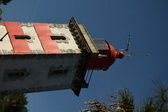 Enlarge photo 420