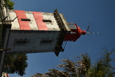 Enlarge photo 421