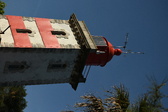 Enlarge photo 425