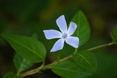 Enlarge photo 428