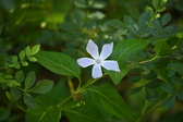 Enlarge photo 431