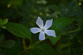 Enlarge photo 432