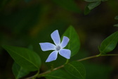 Enlarge photo 433