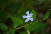 Enlarge photo 434