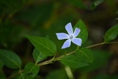 Enlarge photo 435