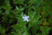 Enlarge photo 436