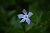 Enlarge photo 437