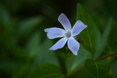 Enlarge photo 438