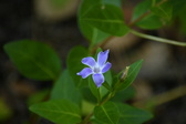 Enlarge photo 440