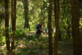 Enlarge photo 450