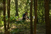 Enlarge photo 451
