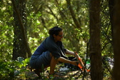 Enlarge photo 457