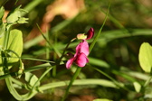 Enlarge photo 487