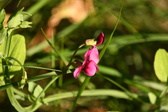 Enlarge photo 488