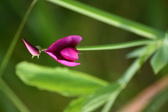 Enlarge photo 514