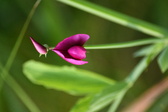 Enlarge photo 515
