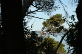 Enlarge photo 516