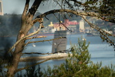 Enlarge photo 518