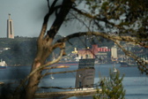 Enlarge photo 520