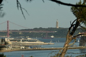 Enlarge photo 532