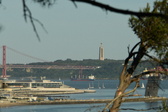 Enlarge photo 533