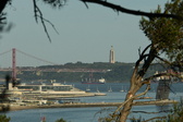 Enlarge photo 534