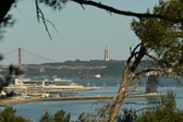 Enlarge photo 535