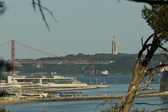 Enlarge photo 549