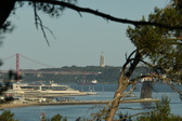 Enlarge photo 550