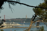 Enlarge photo 551