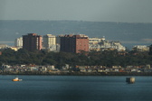 Enlarge photo 554