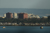 Enlarge photo 555