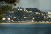 Enlarge photo 561