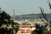 Enlarge photo 562