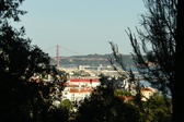 Enlarge photo 563