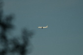 Enlarge photo 566