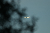 Enlarge photo 567