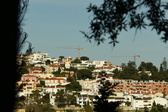 Enlarge photo 571