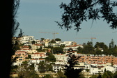 Enlarge photo 572