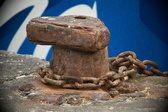 Enlarge photo 114