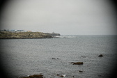 Enlarge photo 115